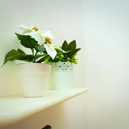 Annarella's Apartament *